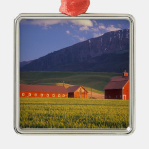 Tarweveld in de Wallowa-vallei, net buiten Metalen Ornament