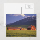 Tarweveld in de Wallowa-vallei, vlak buiten Briefkaart (Voorkant / Achterkant)