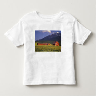 Tarweveld in de Wallowa-vallei, vlak buiten Kinder Shirts