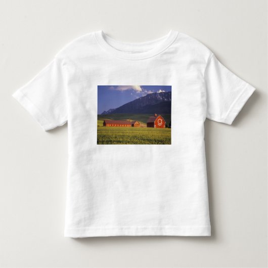 Tarweveld in de Wallowa-vallei, vlak buiten Kinder Shirts (Voorkant)