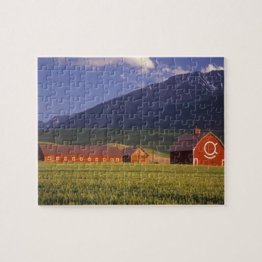 Tarweveld in de Wallowa-vallei, vlak buiten Legpuzzel (Horizontaal)