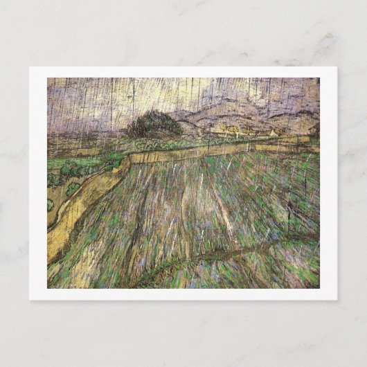 Tarweveld in Regen (F650) Van Gogh Fine Art Briefkaart (Voorkant)