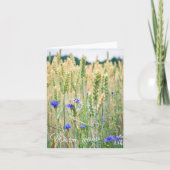 Tarweveld met blauwe cornbloemen kaart (Voorkant)