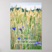 Tarweveld met blauwe cornbloemen poster (Voorkant)