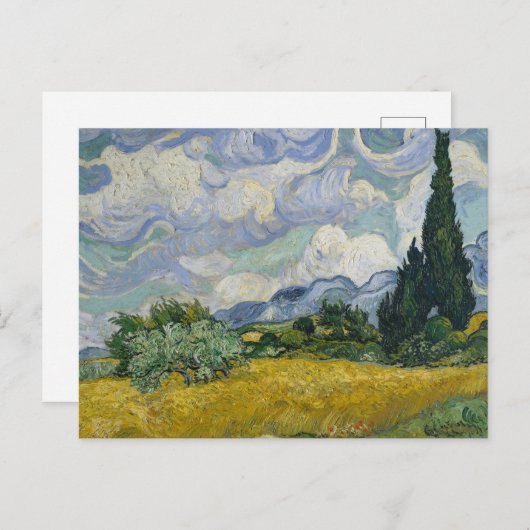Tarweveld met cipressen: briefkaart (Voorkant / Achterkant)
