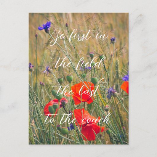 Tarweveld met papavers en maïsbloemen briefkaart (Voorkant)