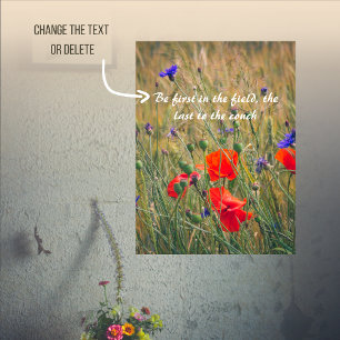 Tarweveld met papavers en maïsbloemen poster