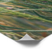 Tarweveld met papavers en maïsbloemen poster (Hoek)