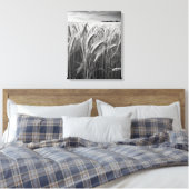 Tarweveld: Monochrome landelijke charme Canvas Afdruk (Insitu (Slaapkamer))