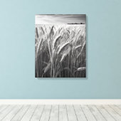 Tarweveld: Monochrome landelijke charme Canvas Afdruk (Insitu (Houten vloer))