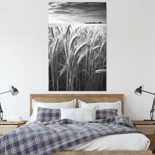 Tarweveld: Monochrome landelijke charme Canvas Afdruk (Insitu (Slaapkamer))