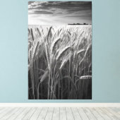 Tarweveld: Monochrome landelijke charme Canvas Afdruk (Insitu (Houten vloer))