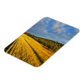 Tarweveld na oogst magneet (Linkerzijde)