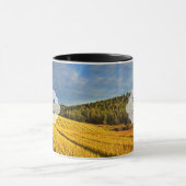 Tarweveld na oogst mok (Midden)