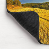 Tarweveld na oogst muismat (Hoek)