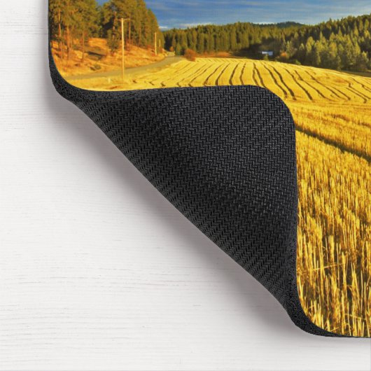 Tarweveld na oogst muismat (Hoek)