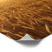 Tarweveld op het platteland poster (Hoek)