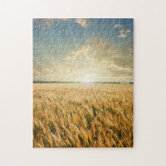 Tarweveld op zonsondergang legpuzzel (Verticaal)