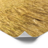 Tarweveld Poster (Hoek)