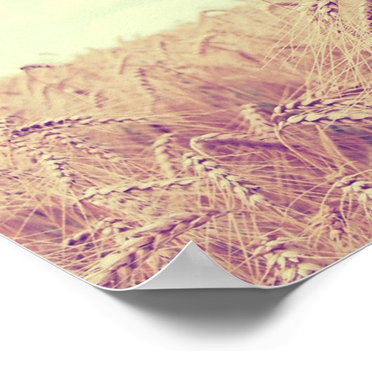 Tarweveld Poster (Hoek)