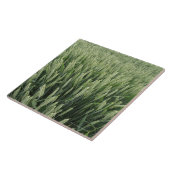 Tarweveld Tegeltje (Zijkant)