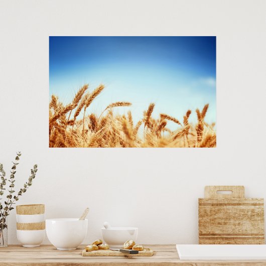 Tarweveld tegen blauwe hemel poster (Keuken)