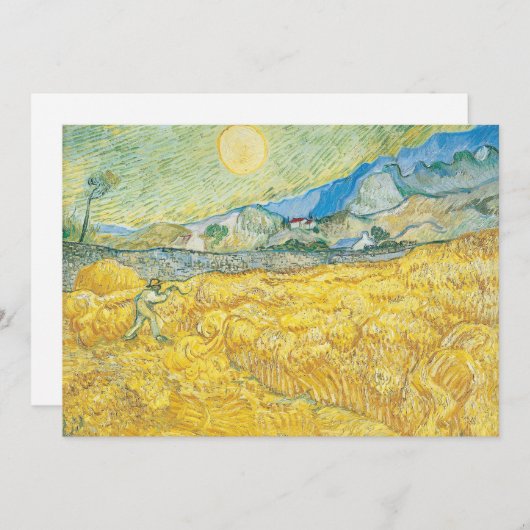 tarweveld | Vincent van Gogh (Voorkant / Achterkant)