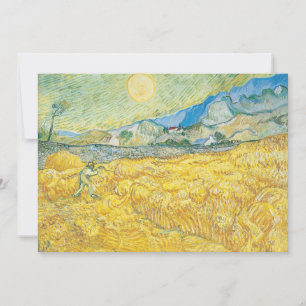 tarweveld Vincent van Gogh