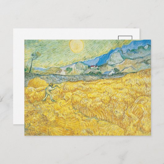 tarweveld | Vincent van Gogh Briefkaart (Voorkant / Achterkant)