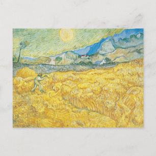tarweveld Vincent van Gogh Briefkaart