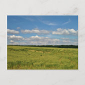 Tarwevelden Briefkaart (Voorkant)
