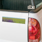 Tarwevelden met paarse wilde bloemen bumpersticker (Op Truck)