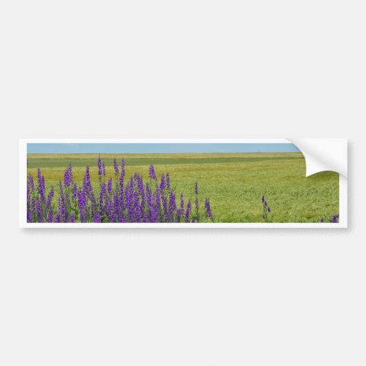 Tarwevelden met paarse wilde bloemen bumpersticker (Voorkant)
