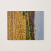 Tarwevelden na de oogst legpuzzel (Horizontaal)