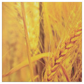 Tarwevelden Stof (Close Up)