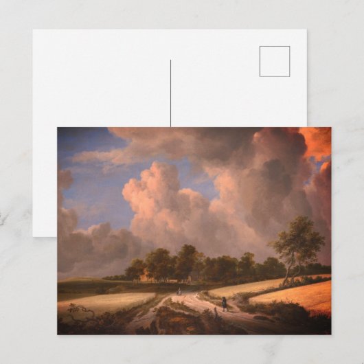 Tarwevelden van Van Ruisdael: Briefkaart (Voorkant / Achterkant)
