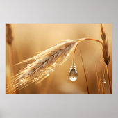 Tarwewater Drop Natuur Serene Tranquil Poster (Voorkant)