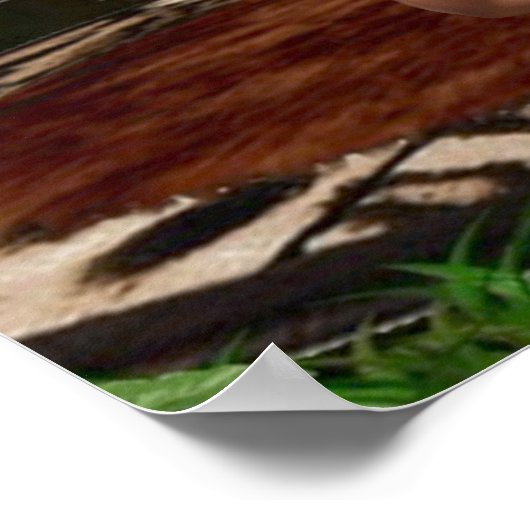 TARZANA SCISSORS LUANA #3 POSTER (Hoek)