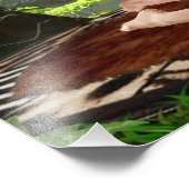 TARZANA'S VOLLEDIGE NELSON FOTO AFDRUK (Hoek)