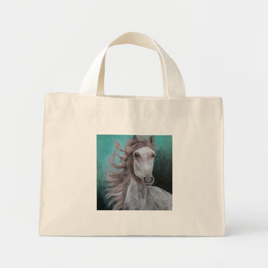 Tas (Voorkant)