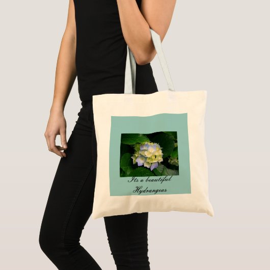 Tas begroting (Voorkant (product))