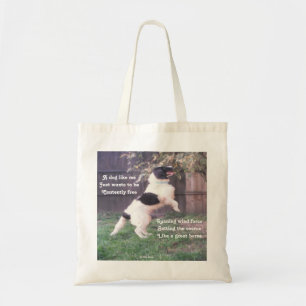 Tas Hond Paard Gedicht Door Ladee Basset