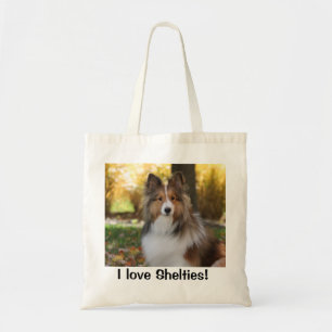 Tas met Sheltie Photo