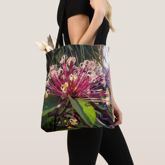 Tas Starburst Clerodendrum Flowers (Dichtbij)