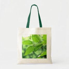 tas 'Summer Leaves with Raindrops'