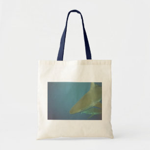 Tas van de haai