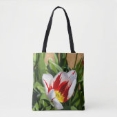 Tas van lentetulp (Voorkant)