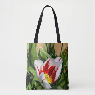 Tas van lentetulp