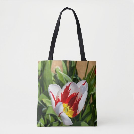 Tas van lentetulp (Voorkant)