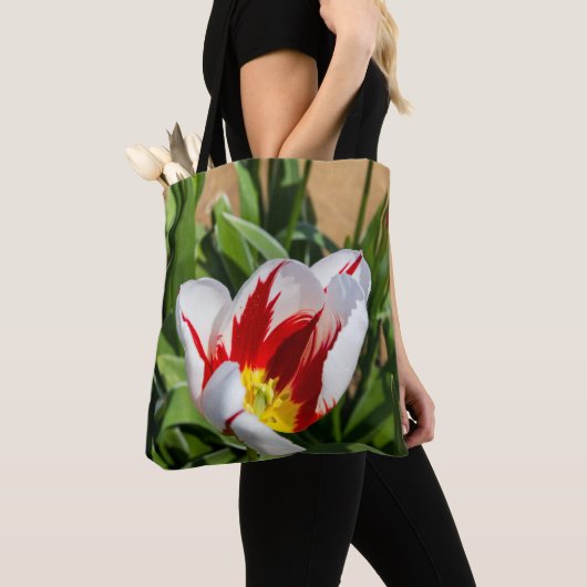Tas van lentetulp (Dichtbij)